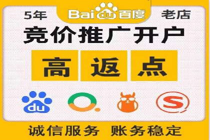 竞价广告案例分享：XX电商平台的成功秘诀
